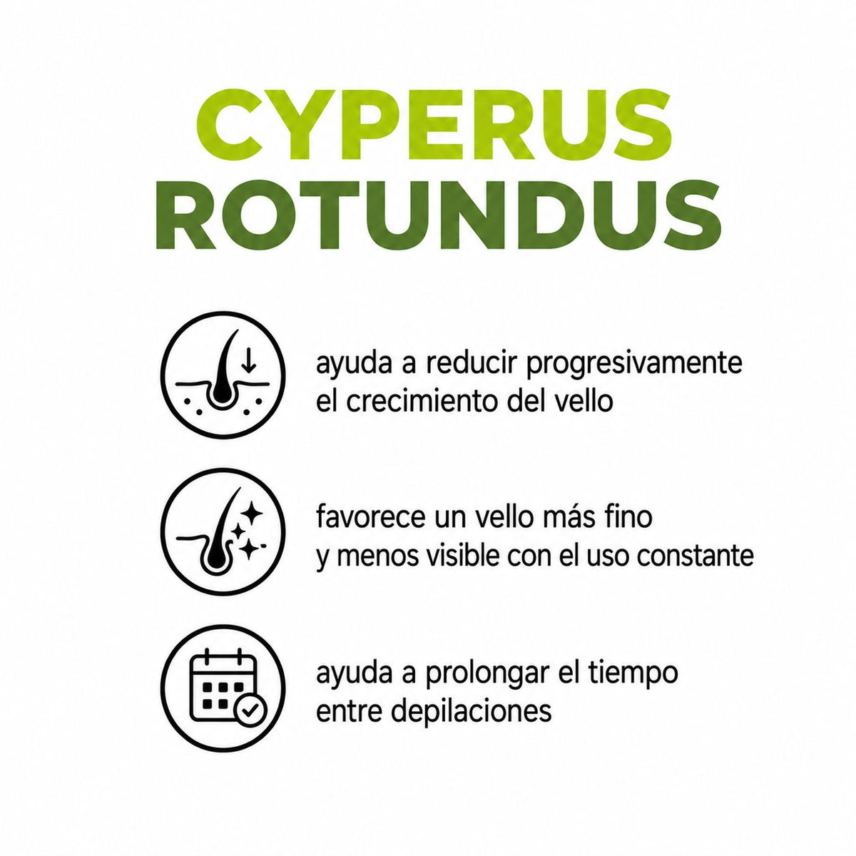 Pack 2 Aceite Cyperus Rotundus