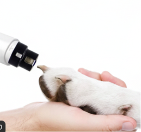 Lima Eléctrica para Uñas de Mascotas con Luz LED