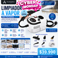 Limpiador a Vapor Semi Profesional